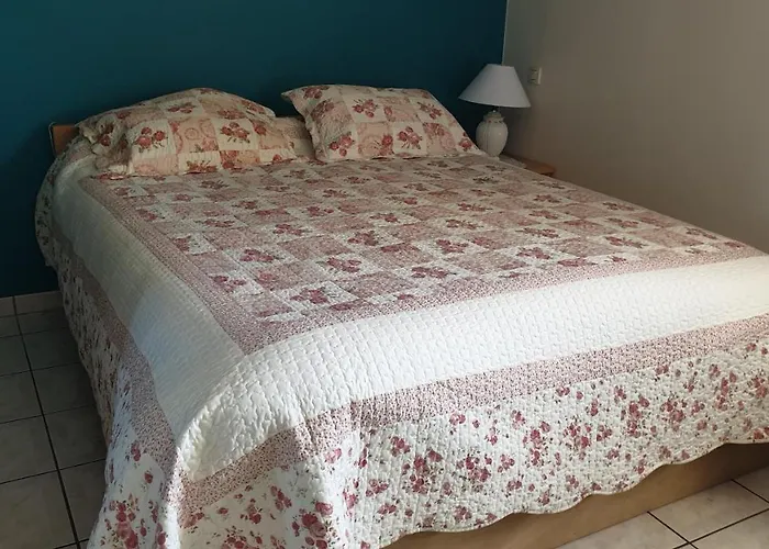 Gite Du Heron, 40 M2 * 비스카로세