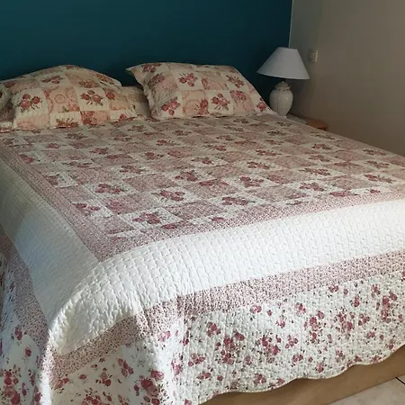 Gite Du Heron, 40 M2 * Biscarrosse